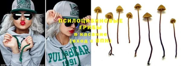 кокс Пересвет