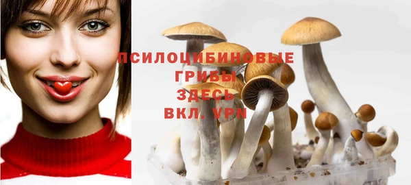 кокс Пересвет