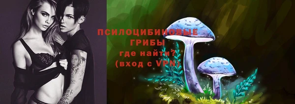 кокс Пересвет