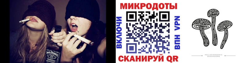Псилоцибиновые грибы Psilocybe  Купить  Пущино 