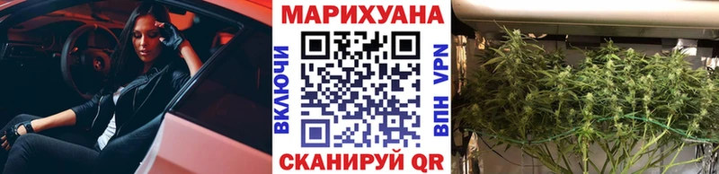 Канабис ГИДРОПОН Пущино