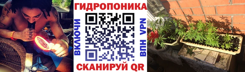 Купить  Пущино  Бошки марихуана марихуана 